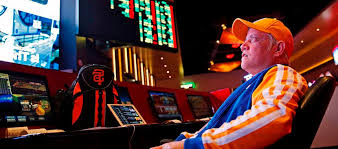 Вход на официальный сайт Why Casino